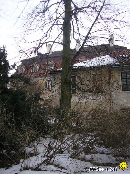 P3110005.JPG