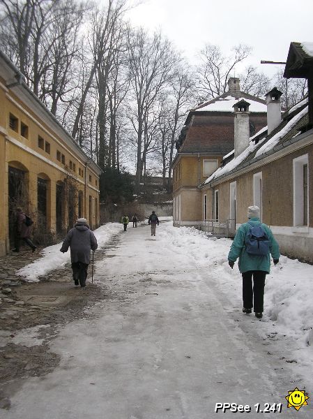 P3110007.JPG