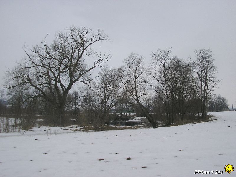 P3110032.JPG