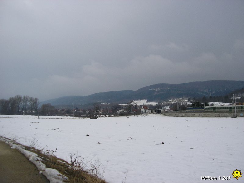 P3110035.JPG