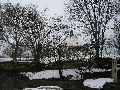 P3180016.JPG