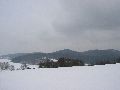 P3180021.JPG
