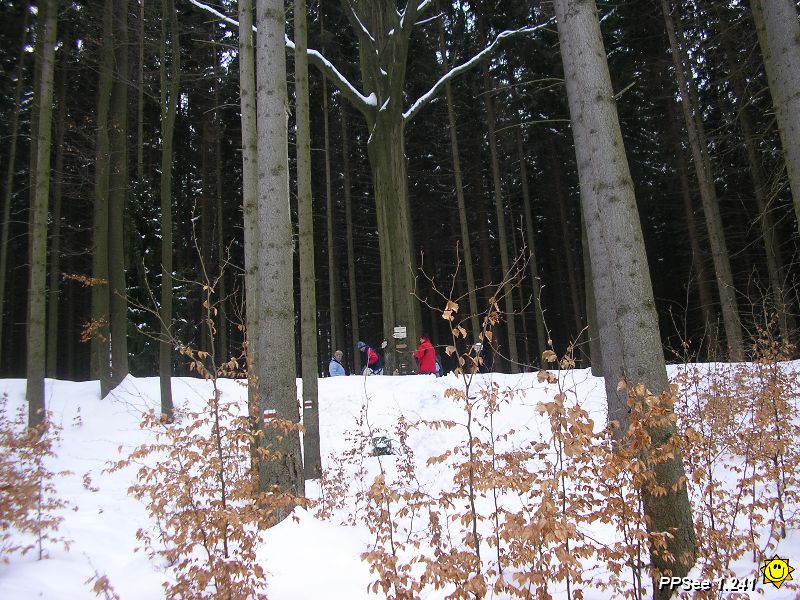 P3180033.JPG