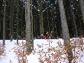 P3180033.JPG