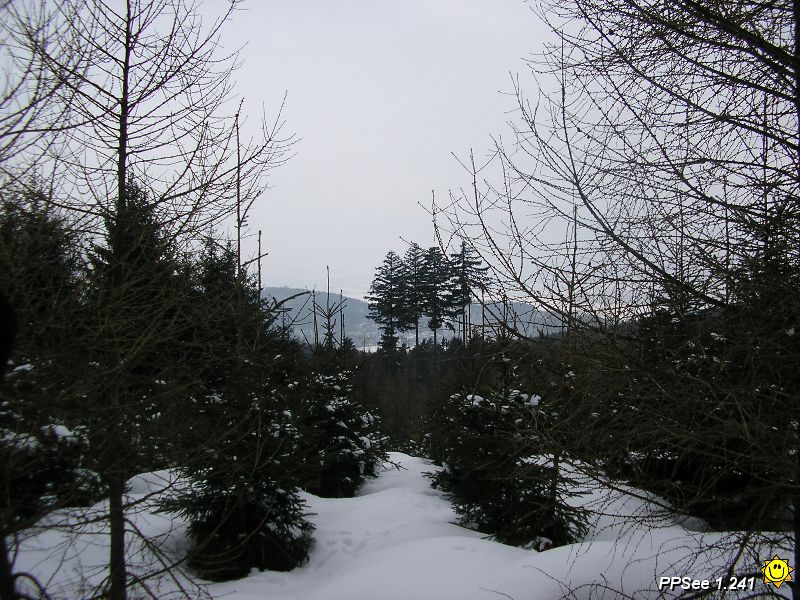P3180041.JPG