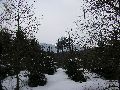 P3180041.JPG