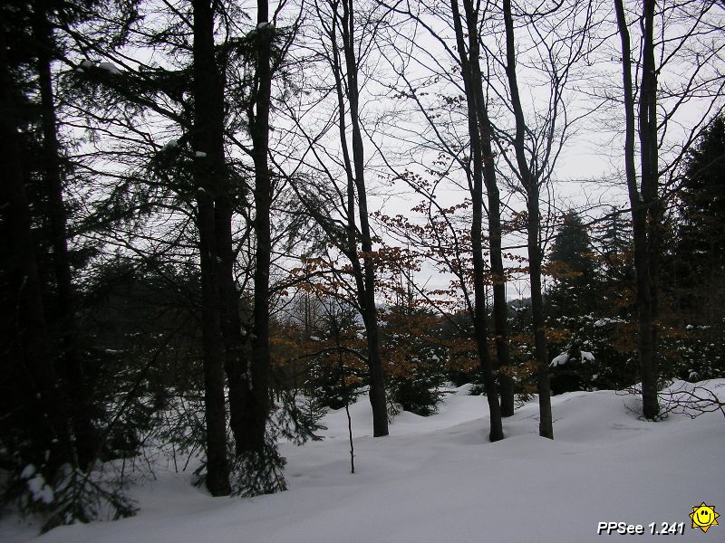 P3180046.JPG