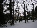 P3180046.JPG