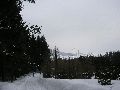 P3180047.JPG