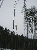 P3180050.JPG