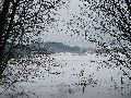 P3180051.JPG