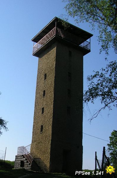 P5130017.JPG