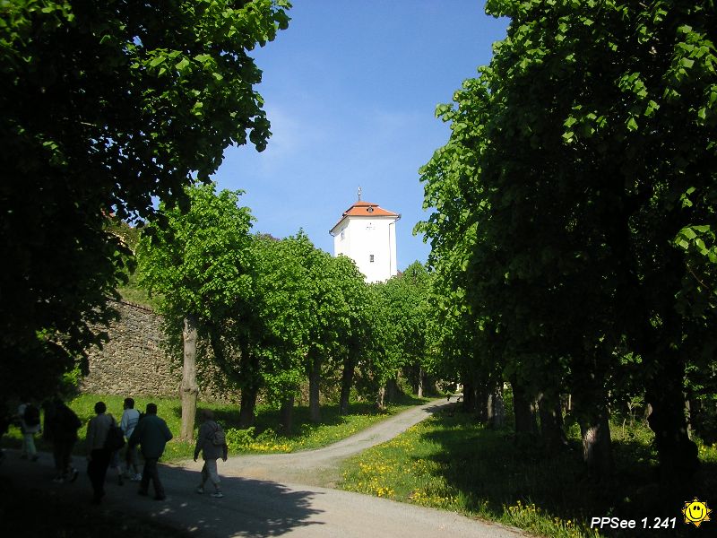 P5130030.JPG