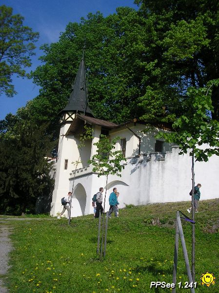 P5130033.JPG