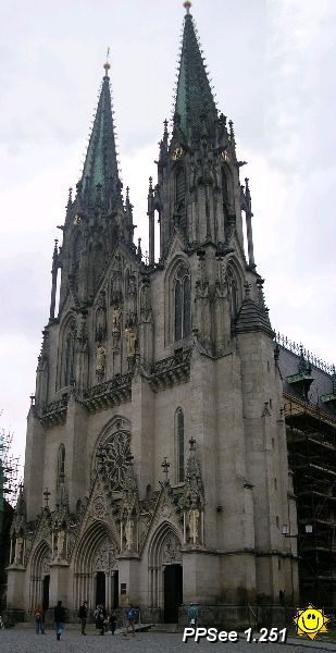 P8050070a.jpg