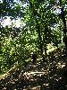 P8190012.JPG