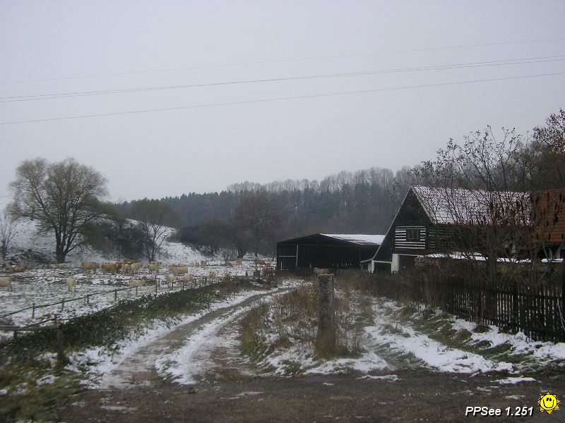 PB040009.JPG