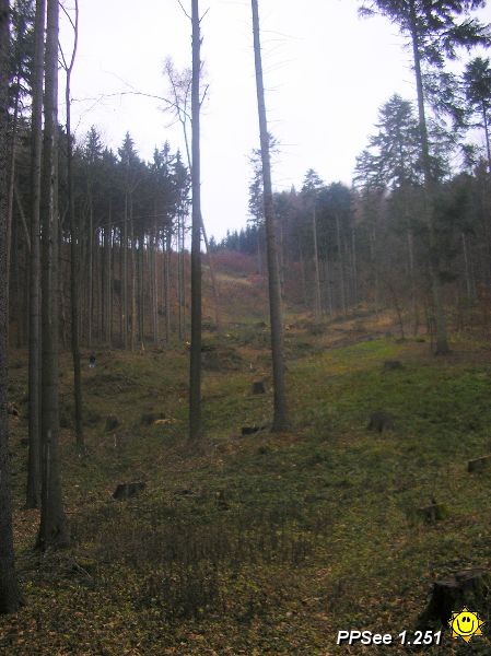 PC020016.JPG