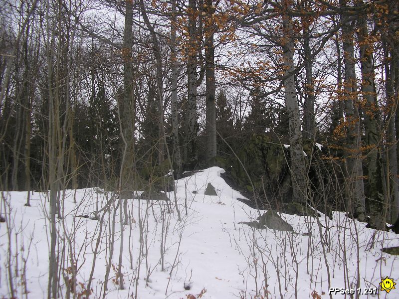 P2030068.JPG