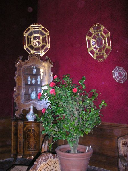 Photo-015.JPG