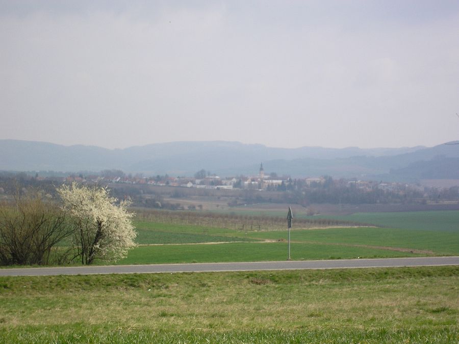P40700013.jpg